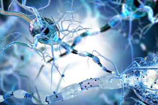 Epilepsia Postraumática: Qué Es, Riesgos y Prevención